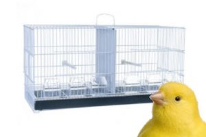 jaulas para canarios tienda