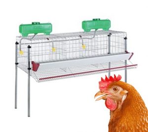 jaulas para gallinas tienda