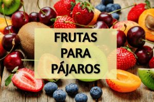 frutas para pajaros