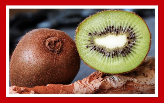 frutas para pajaros kiwi