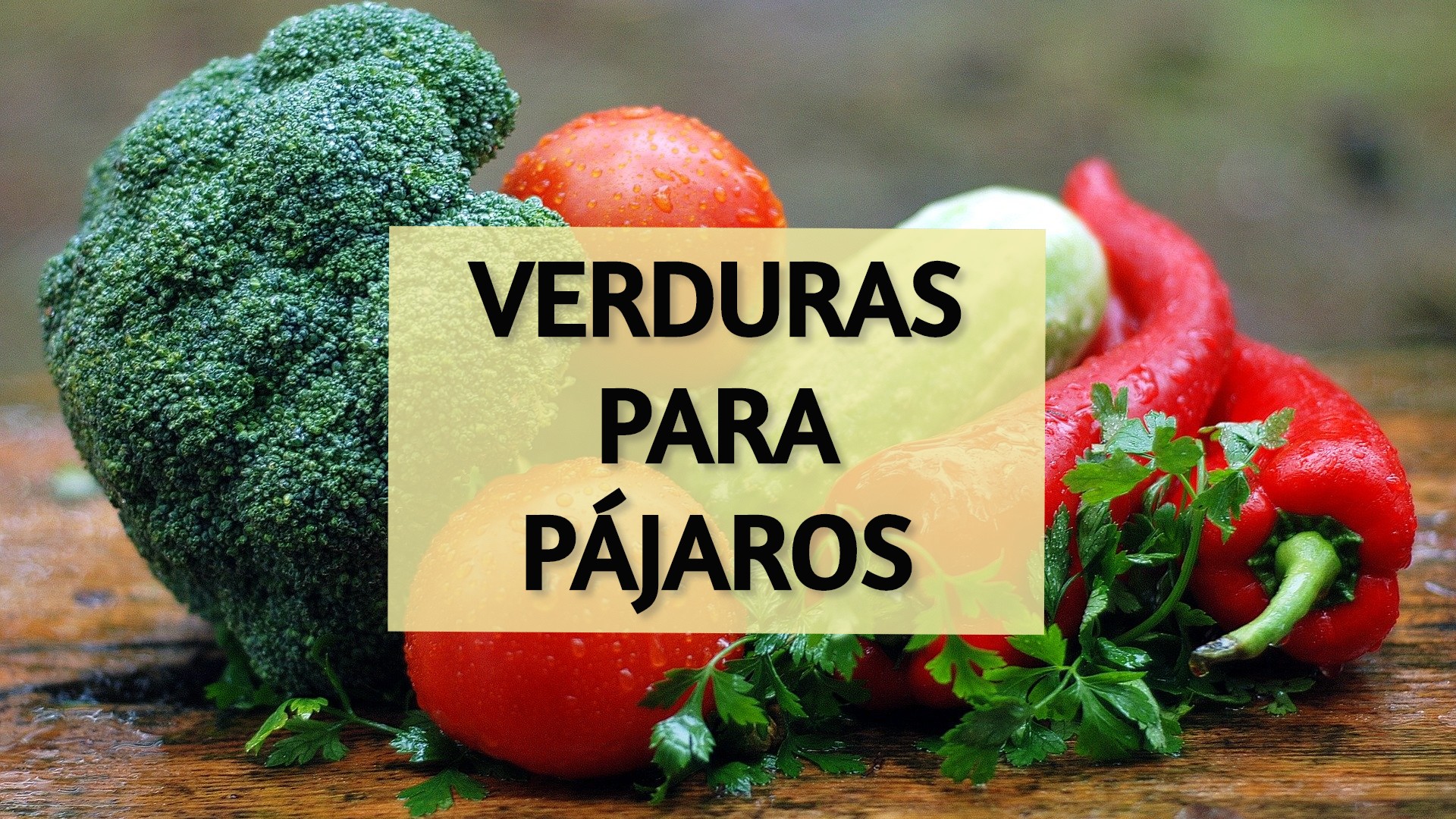 verduras para pajaros