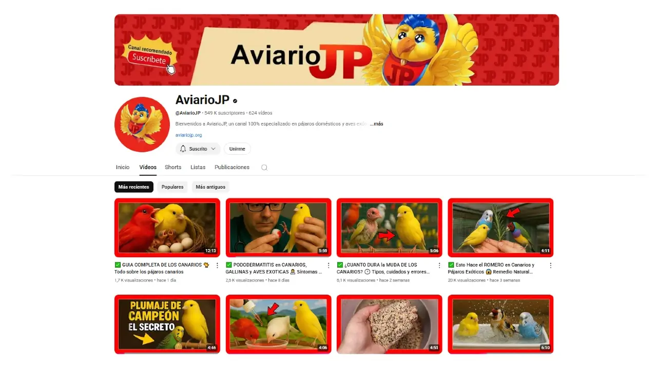 Canal de youtube aviariojp